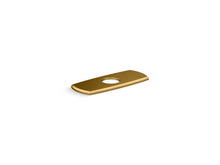Occasion® Escutcheon Plate