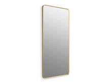 Essential 28" X 60" Rectangular Framed Mirror