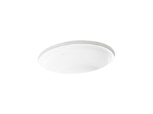Artifacts™ 21-1/4" Oval Undermount Bathroom Sink