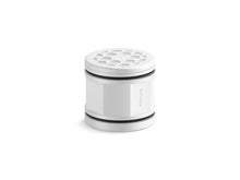 Cinq™ Showerhead Replacement Filter