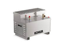 Invigoration® Series 13 Kw Steam Generator