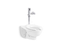 PR84325-T4DS-NA - Not Applicable | KOHLER | GROF USA