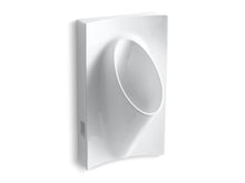 Steward® Waterless 19-1/8" Wide X 31-7/8" High X 15-7/8" Deep Wall-Mount Urinal