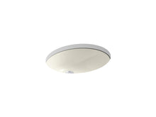 Caxton® 19-1/4" Oval Undermount Bathroom Sink