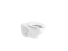 Kingston™ Ultra Wall-Mount Top Spud Flushometer Bowl With Bedpan Lugs