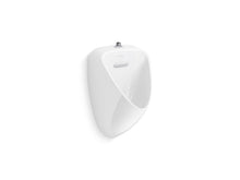 20713-ETSS-0 - White | KOHLER | GROF USA